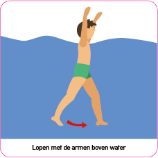 Control cards (Dutch)